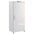 Шкаф морозильный Electrolux R04FSGGW 730159